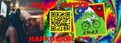 спиды Камышлов
