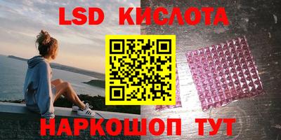 дживик Кандалакша