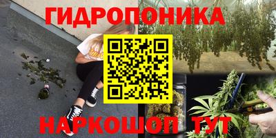спиды Камышлов