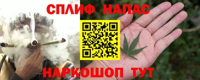 дживик Кандалакша