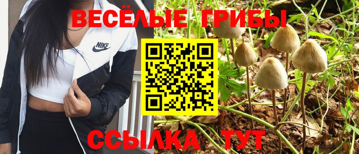 Псилоцибиновые грибы Cubensis  Вход с VPN  Галлюциногенные грибы GOLDEN TEACHER  Лангепас 